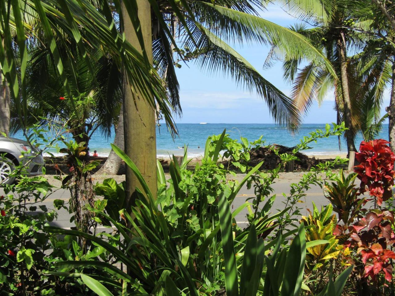 Villa Pineapple House Manzanillo Exterior foto