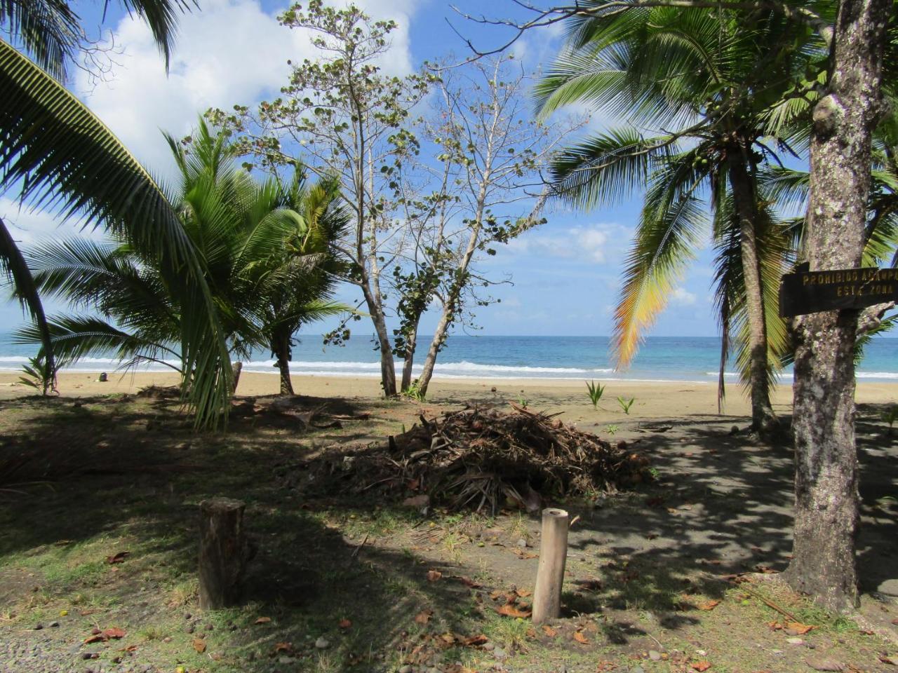 Villa Pineapple House Manzanillo Exterior foto