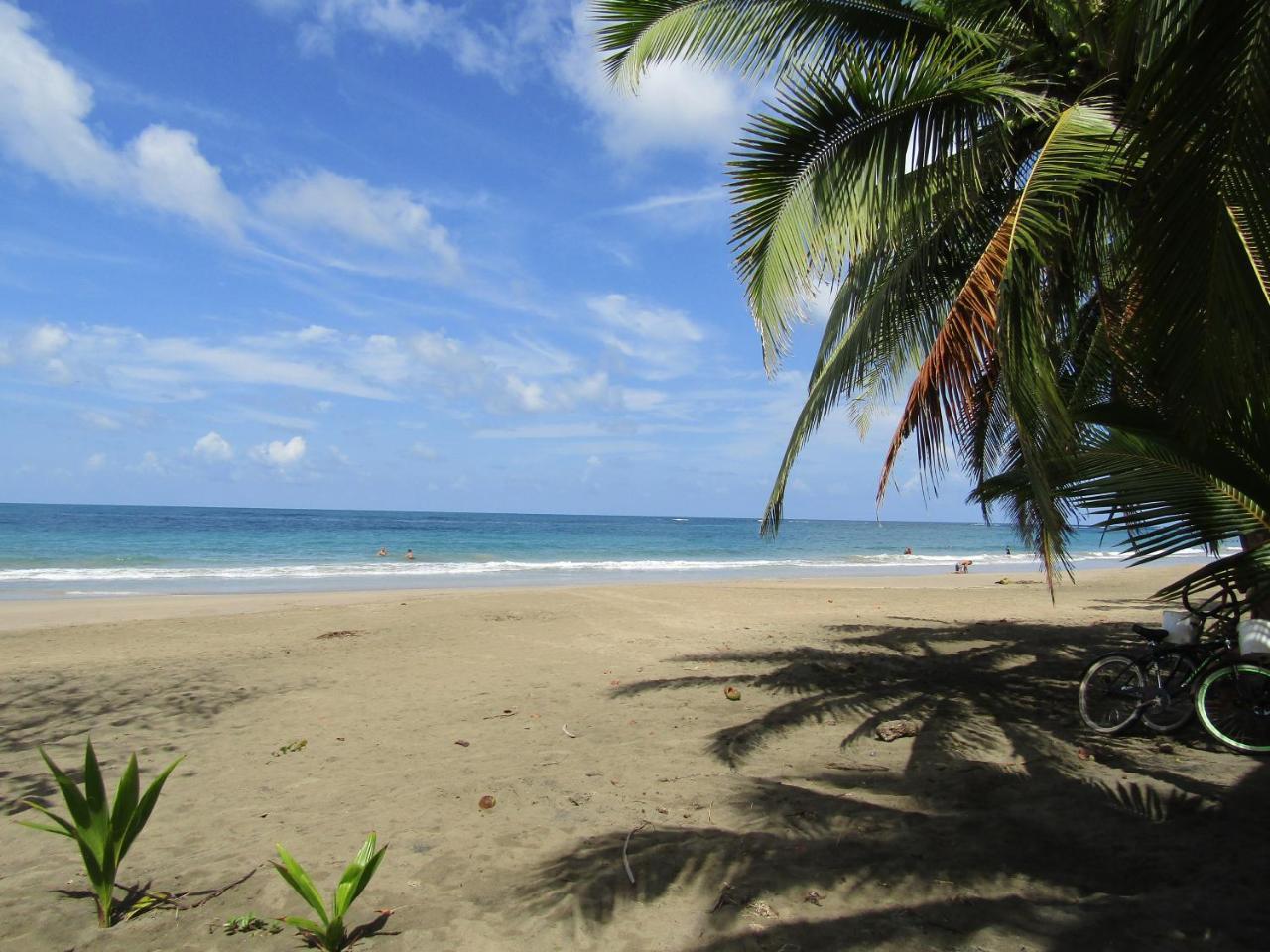 Villa Pineapple House Manzanillo Exterior foto